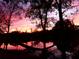 Scenic pond view with a hammock at 5050 68Th N Way, St Petersburg, FL 33709
