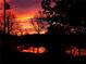 Beautiful sunset view with orange, red, and yellow sky behind silhouetted trees and power lines at 5050 68Th N Way, St Petersburg, FL 33709