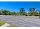 View of the community basketball court and playground, surrounded by mature trees and landscaping at 5325 Thistle Field Ct, Wesley Chapel, FL 33545