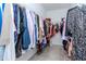 Walk-in closet with ample hanging space and neutral carpeting at 6827 Citrus Creek Ln, Tampa, FL 33625