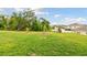 Green backyard with well-manicured lawn and trees, backing up to neighboring properties at 6882 Silverado Ranch Blvd, Zephyrhills, FL 33541