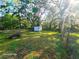 Spacious backyard with lush greenery and storage shed at 851 Easy St, Brooksville, FL 34601
