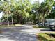 Quiet residential street view featuring mature trees and well-kept lawns at 851 Easy St, Brooksville, FL 34601