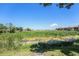 Scenic view of a lush pond surrounded by greenery, offering a tranquil and natural setting at 10216 Seminole Island Dr, Largo, FL 33773