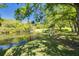 Relax by the lake on a bench under mature trees in this home's backyard at 1201 Montrose Pl, Dunedin, FL 34698