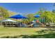 Community playground with modern equipment and shaded seating, offering a safe and fun space for children at 1201 Montrose Pl, Dunedin, FL 34698