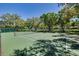 Scenic community tennis court surrounded by trees, perfect for a friendly match or some exercise at 1201 Montrose Pl, Dunedin, FL 34698