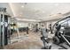 Well-equipped fitness center with modern exercise machines, free weights, and plenty of space for workouts at 12957 Wildflower Meadow Dr, Riverview, FL 33579