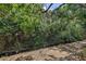 Lush creek view surrounded by dense foliage, adding privacy and a natural element to the property's landscape at 2047 Indigo Dr, Clearwater, FL 33763