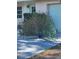 A beautiful peacock shows off its colorful plumage in the front yard of this charming home at 2047 Indigo Dr, Clearwater, FL 33763