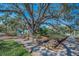 Charming tree lined sidewalk at 223 Lime S Cir, Dunedin, FL 34698