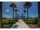 Scenic walkway framed by palm trees leading to the entrance of Toronto Blue Jays' TD Ballpark at 223 Lime S Cir, Dunedin, FL 34698