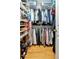 Walk-in closet providing ample storage with shelving and hanging rods for organized clothing and accessories at 2837 Bayshore Trails Dr, Tampa, FL 33611