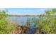 Peaceful lake surrounded by lush greenery, perfect for relaxing and enjoying nature's beauty at 2837 Bayshore Trails Dr, Tampa, FL 33611