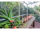 Enclosed patio featuring aloe plants, terracotta pots, and lush greenery, perfect for outdoor relaxation at 2837 Bayshore Trails Dr, Tampa, FL 33611