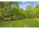 Lush green backyard featuring mature trees and natural vegetation, offering privacy and a serene setting at 4555 Debbie Ln, Lutz, FL 33559