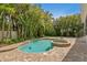 Aerial view of the pool and spa, with brick pavers and lush tropical landscaping at 47 Martinique Ave, Tampa, FL 33606