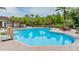 Community pool with covered lifeguard stand, lounge chairs, landscaping and trees at 8247 Westhaven Dr, Land O Lakes, FL 34638