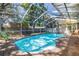 Backyard with in-ground swimming pool surrounded by a screen enclosure at 8766 91St St, Seminole, FL 33777