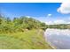 Picturesque lake view with natural vegetation bordering the shoreline at 10228 Estuary Dr, Tampa, FL 33647