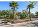 Community entrance with stone sign, twin palm trees, meticulous landscaping, and pedestrian crosswalk at 12346 Country White Cir, Tampa, FL 33635