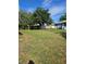 Grassy backyard with mature shade tree and detached shed at 1448 Lemon St, Clearwater, FL 33756
