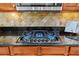 Close up of kitchen gas stovetop with stone backsplash and wood cabinets at 21654 Draycott Way, Land O Lakes, FL 34637