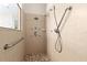 This tiled shower is spacious with multiple shower heads, a handrail, and a tiled mosaic floor at 21654 Draycott Way, Land O Lakes, FL 34637