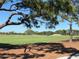The green grass of a golf course features sand traps and scattered trees in this image at 331 Barbara Cir, Belleair, FL 33756