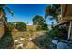 Lush backyard featuring green grass, a shed, and well-maintained landscaping at 3815 Bowen St, New Port Richey, FL 34652