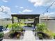 Backyard features a custom pergola with string lights, tropical plants, and a walkway leading to an outdoor grill area at 5571 Birch River Trl, Wesley Chapel, FL 33545