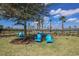 Outdoor seating area with blue Adirondack chairs under a shady tree at 6907 Crestpoint Dr, Apollo Beach, FL 33572