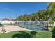 Backyard pool with a black fence and surrounded by green grass and palm trees on a bright, sunny day at 731 44Th Ne Ave, St Petersburg, FL 33703