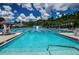 Beautiful community pool with lane markers surrounded by plenty of seating and mature palm trees at 9905 Woodbay Dr, Tampa, FL 33626