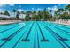 Large community pool with lane markers and lounge chairs, surrounded by palm trees at 9905 Woodbay Dr, Tampa, FL 33626