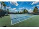 Community tennis courts that are well maintained and perfect for enjoying a tennis match at 9905 Woodbay Dr, Tampa, FL 33626