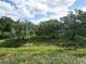 Lush backyard with mature trees and a tranquil stream at 1204 Joe Henry Wheeler Dr, Dover, FL 33527