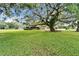 Expansive front yard showcasing a lush green lawn and majestic, mature trees providing ample shade at 1204 Joe Henry Wheeler Dr, Dover, FL 33527