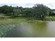 Scenic pond view with lily pads and green surroundings, creating a peaceful atmosphere at 1204 Joe Henry Wheeler Dr, Dover, FL 33527