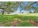Scenic water view from the property, showcasing the tranquility of lakefront living with mature shady trees at 1204 Joe Henry Wheeler Dr, Dover, FL 33527