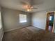 Bedroom with gray walls, carpet, ceiling fan, and natural light from large window at 18724 Geraci Rd, Lutz, FL 33548