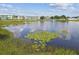Community view of a serene pond with lily pads and the condo buildings in the background at 1900 59Th N Ave # 108, St Petersburg, FL 33714