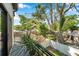 Neighborhood view from the rooftop deck, showing privacy fence and trees at 2140 Catalina Dr, Clearwater, FL 33764