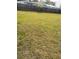 Spacious, grassy backyard with a wooden fence in a residential neighborhood at 3005 W 18Th W Ave, Bradenton, FL 34205
