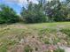 The partially fenced backyard features vibrant green grass with mature trees at 321 Parkside Ln, Safety Harbor, FL 34695