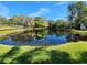 Scenic pond surrounded by lush vegetation, creating a serene natural setting at 321 Parkside Ln, Safety Harbor, FL 34695