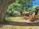 Scenic view of the pond with a glimpse of the cabana, trees, and greenery at 321 Parkside Ln, Safety Harbor, FL 34695