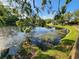 Scenic pond view with lush foliage, trees, and reflections of the sky and surrounding homes at 321 Parkside Ln, Safety Harbor, FL 34695