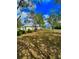 Single story home with a lush green lawn and mature trees in the front yard at 5525 Thorngrove Way, Spring Hill, FL 34609