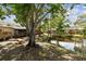 Backyard view showing the water, several condos, mature trees, and picnic table at 6343 92Nd N Pl # 2102, Pinellas Park, FL 33782